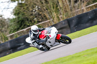 Oulton-Park-20th-March-2020;PJ-Motorsport-Photography-2020
